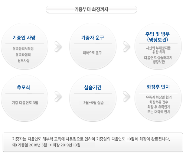 해부학 실습